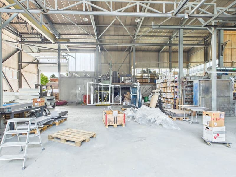 Hall commerciale avec espace extérieur - idéale pour la logistique et le transport (11)
