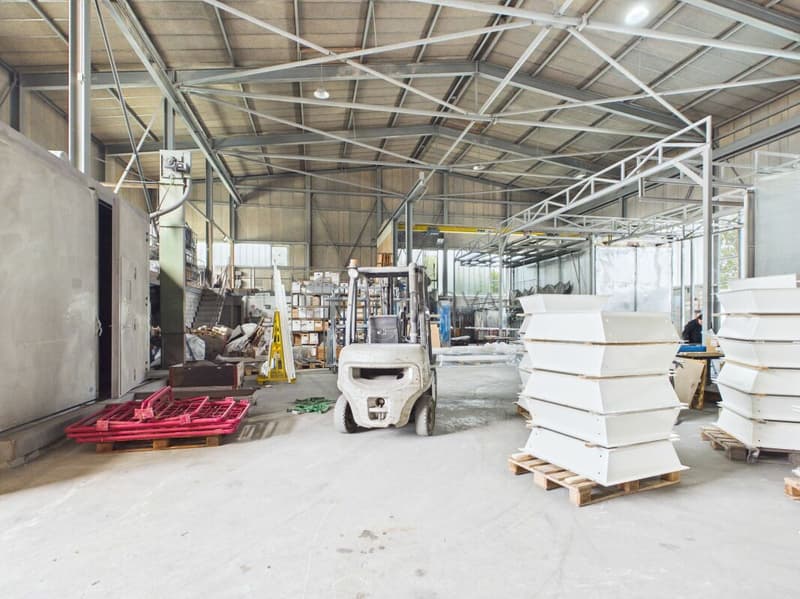 Hall commerciale avec espace extérieur - idéale pour la logistique et le transport (8)