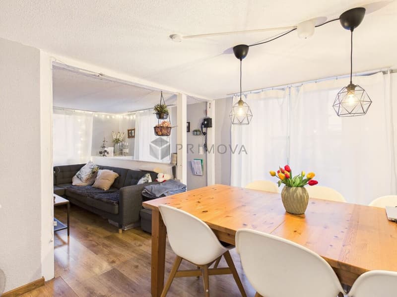 Your chance for a charming single-family home with a large terrace directly on the river! (4)