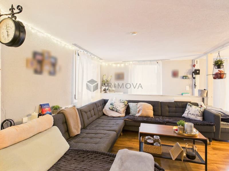Your chance for a charming single-family home with a large terrace directly on the river! (10)