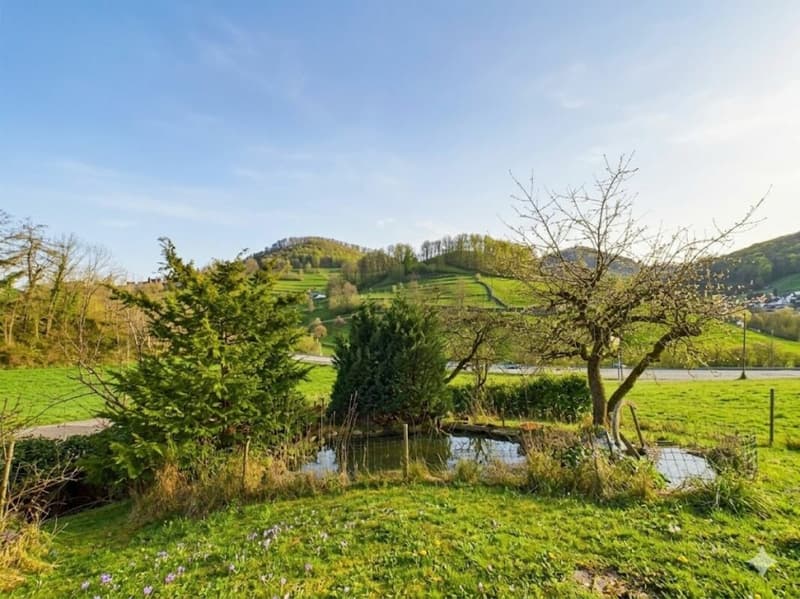 Value tranquility and quality of life? - Single-family house with a far-reaching view and plenty of space (13)
