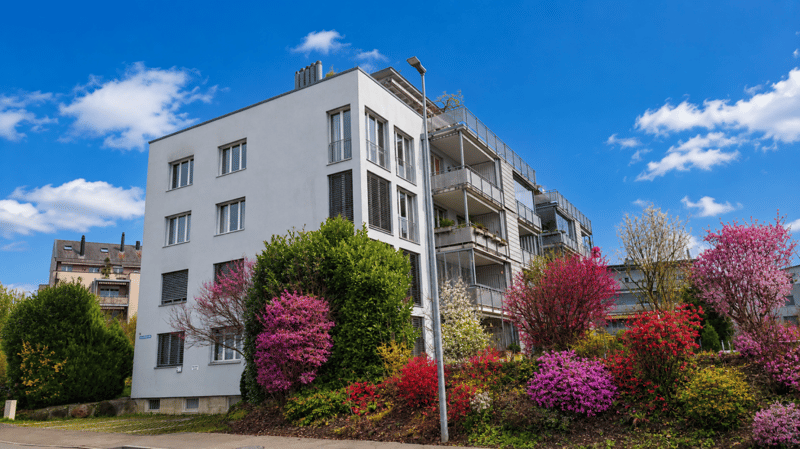Nouvel appartement 5.5 pièces près du lac et de la vieille ville à Murten (1)