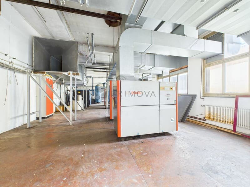 Spacious property with numerous possibilities - Commercial property with Lake Constance charm (14)