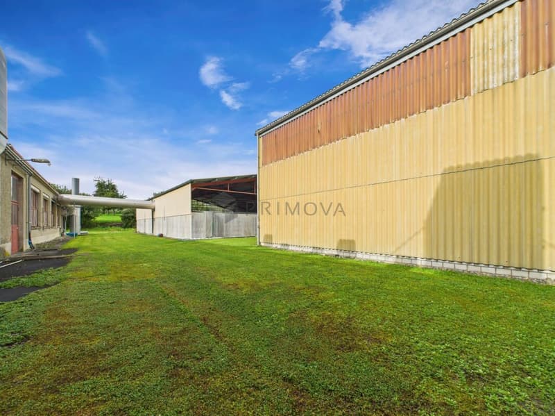 Spacious property with numerous possibilities - Commercial property with Lake Constance charm (18)