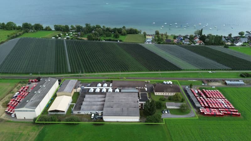 Spacious property with numerous possibilities - Commercial property with Lake Constance charm (1)