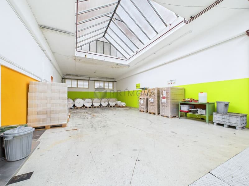 Spacious property with numerous possibilities - Commercial property with Lake Constance charm (7)