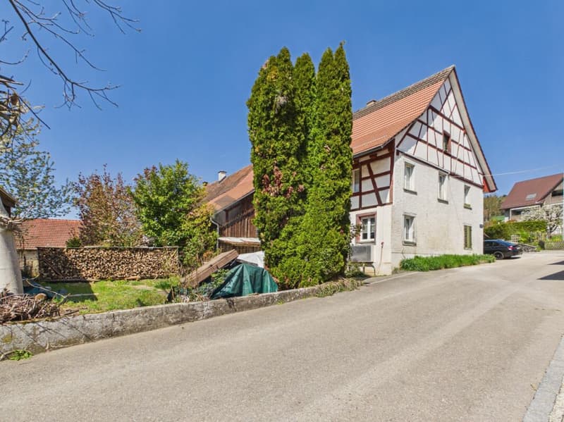 Renovation object with charm and potential in the heart of Bachs (1)