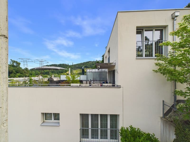 Appartement de terrasse exclusif et luxueux à Duggingen (1)