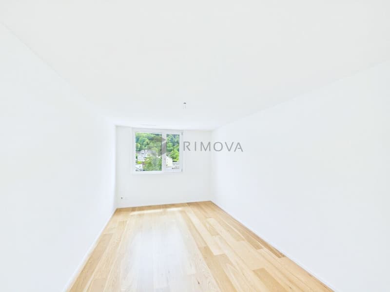 Appartamento in attico esclusivo con vista panoramica sul lago di Costanza (10)