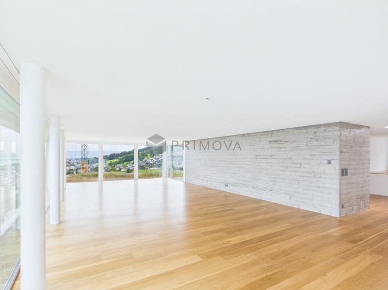 Appartamento in attico esclusivo con vista panoramica sul lago di Costanza (4)