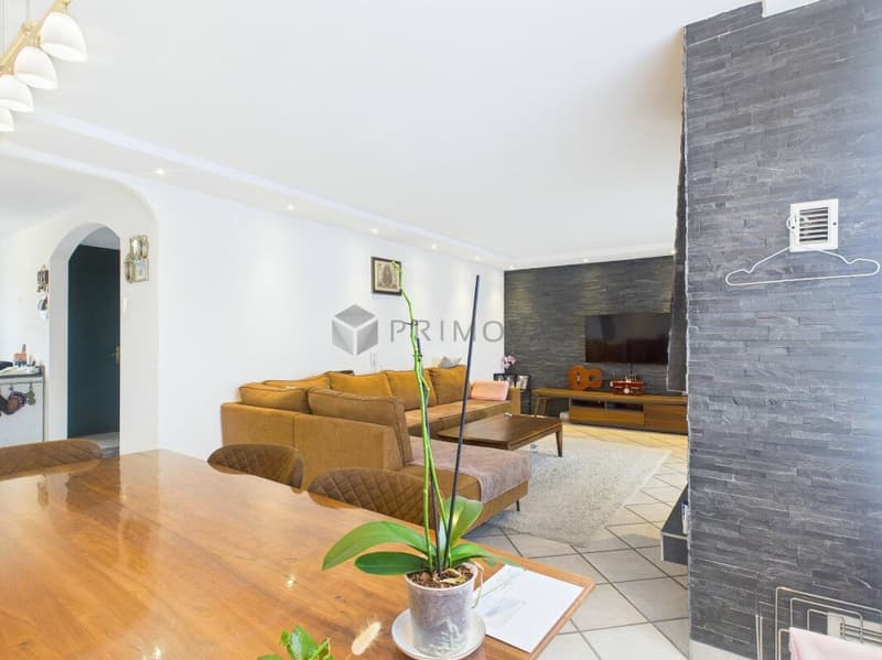 Your new home between river and city, in the heart of Central Switzerland (1)