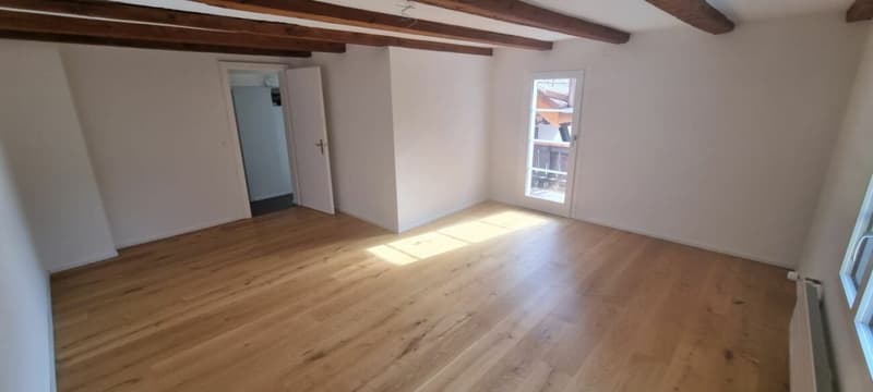 Casa multifamiliare completamente ristrutturata con 4 unità abitative (9)