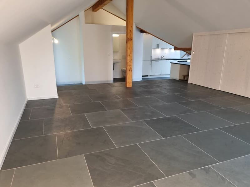 Casa multifamiliare completamente ristrutturata con 4 unità abitative (5)