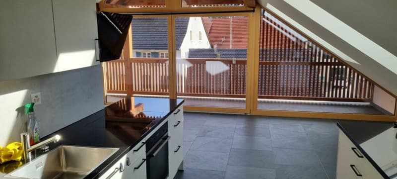 Casa multifamiliare completamente ristrutturata con 4 unità abitative (4)