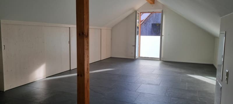 Casa multifamiliare completamente ristrutturata con 4 unità abitative (8)