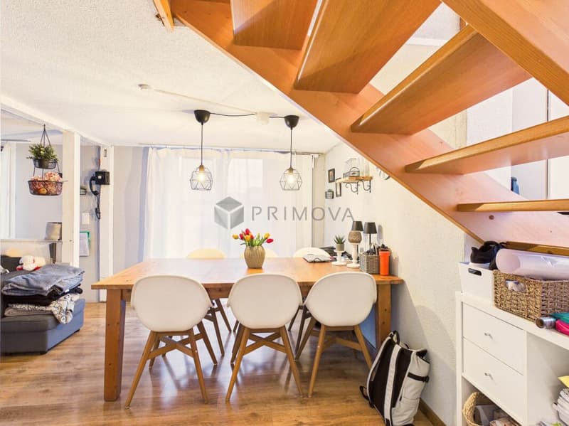 Charming single-family home at a reasonable price with a large terrace directly on the river and yet very central! (6)