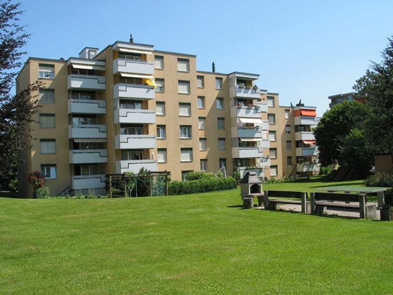 Stylishly renovated 3.5-room apartment at an attractive price (1)