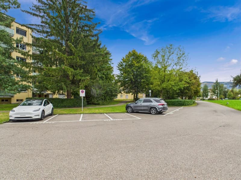 Stylishly renovated 3.5-room apartment at an attractive price (11)