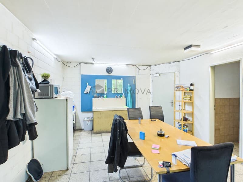 Gewerbehalle mit Aussenfläche - ideal für Logistik und Transport (10)