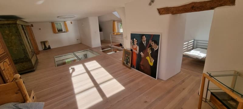 Totalsaniertes Mehrfamilienhaus mit 4 Wohneinheiten (3)