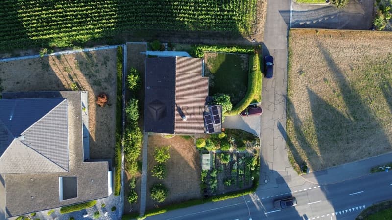 Hier wohnen Sie an bester Lage und geniessen trotzdem die Ruhe (12)