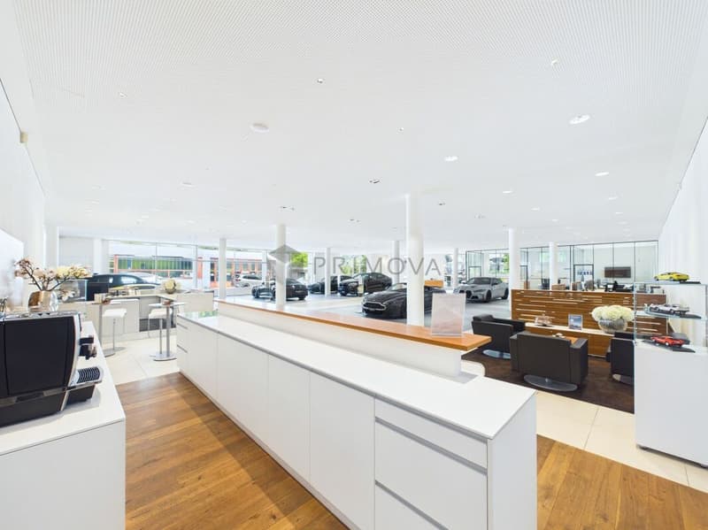 Opportunità di progetto per unità residenziali attraenti (10)