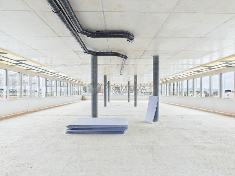 Central Development Diepoldsau: Space for Your Visions - Ready for Occupancy Summer 2026! (7)