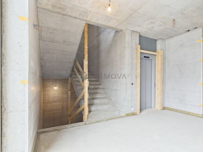 Central Development Diepoldsau: Space for Your Visions - Ready for Occupancy Summer 2026! (12)
