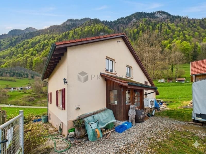 Geniessen Sie die Ruhe umgeben von grünem- Einfamilienhaus mit Weitsicht und viel Raum (3)