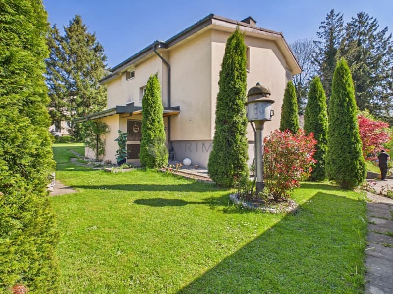 Casa unifamiliare con annessi su un terreno fantasticamente grande (2)