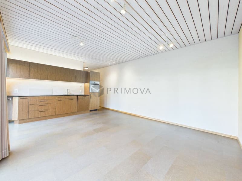 Immeuble locatif attractif à Nottwil - Haute demande & microlocalisation excellente sur le lac de Sempach (3)
