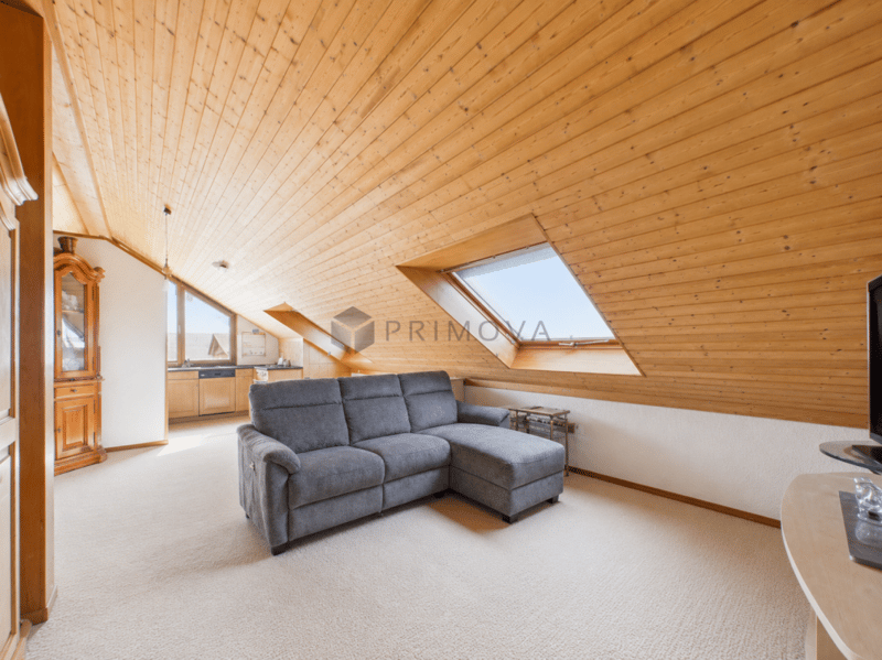 Propriété représentative avec appartement indépendant, jardin d'hiver et piscine (13)