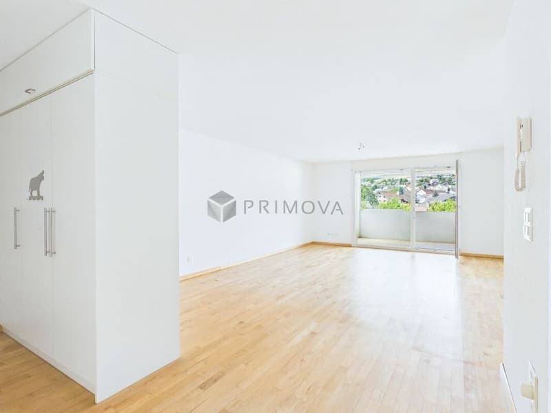 Living with unobstructed views - Your retreat in Dintikon (5)
