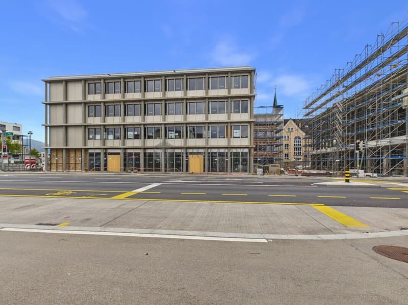 Sviluppo Centrale Diepoldsau: Spazio per le Tue Visioni - Pronto per l'Occupazione Estate 2026! (2)