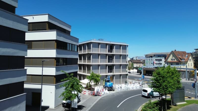 Sviluppo Centrale Diepoldsau: Spazio per le Tue Visioni - Pronto per l'Occupazione Estate 2026! (8)