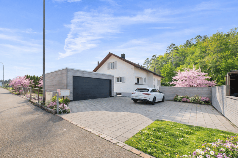Wo Design zuhause ist - und der Wald beginnt (1)