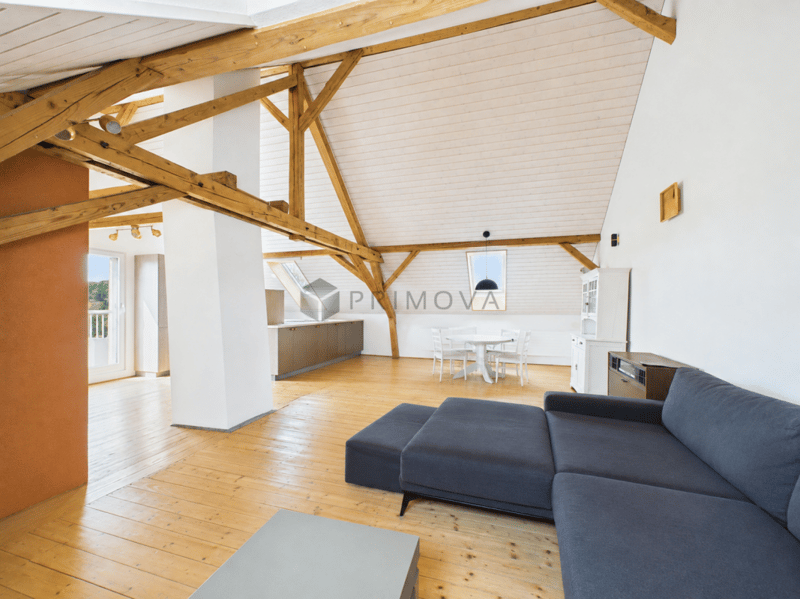 Modernized two-family house with a far-reaching view, double garage, and plenty of space (2)