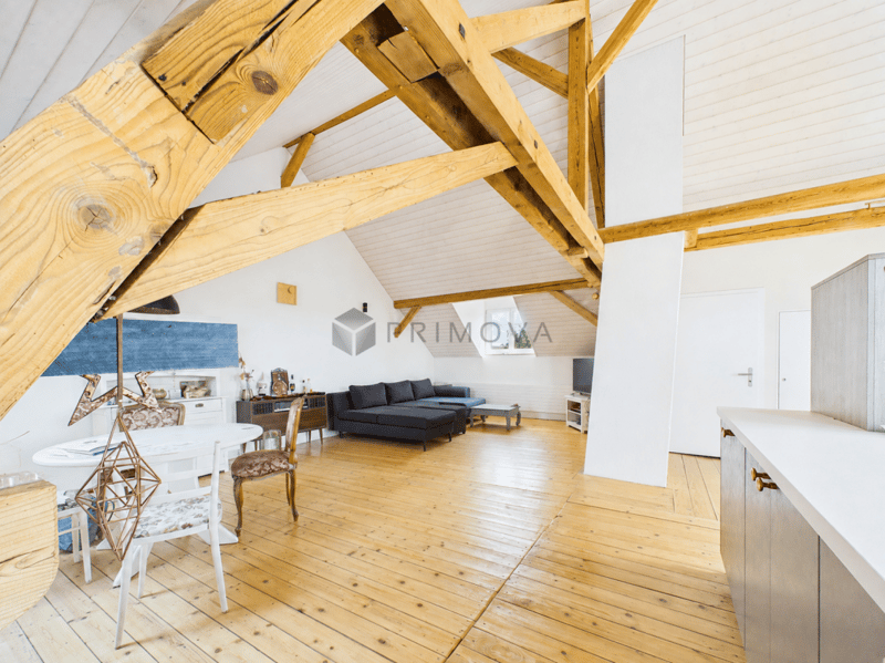 Modernized two-family house with a far-reaching view, double garage, and plenty of space (3)
