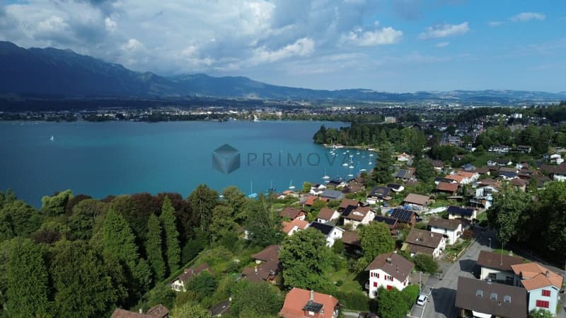 Thunerseeblick