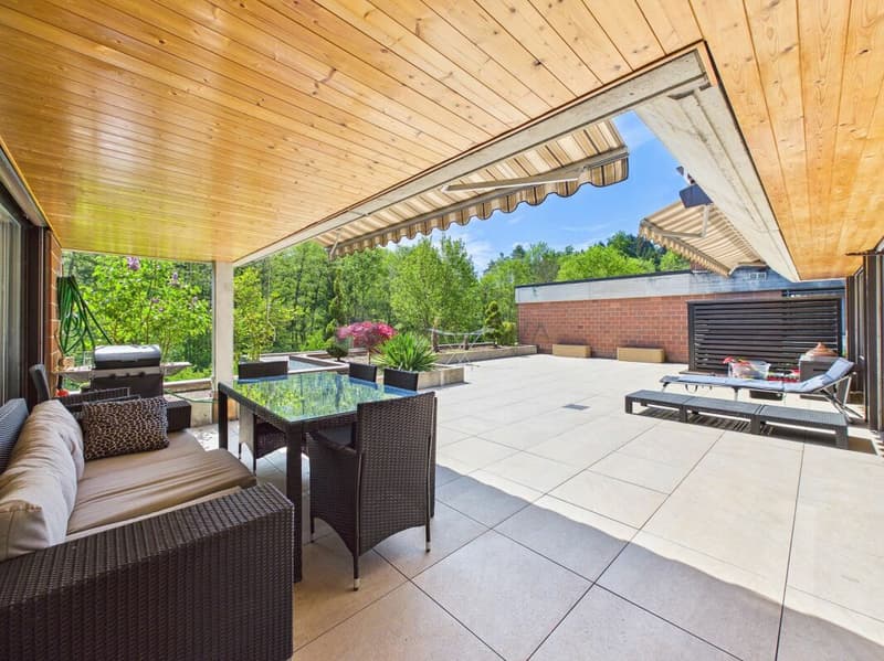 Modernisiertes Terrassen-Bijou (10)