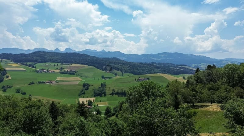 Leben in der Hostet - Nachhaltig wohnen. Natürlich leben. (7)