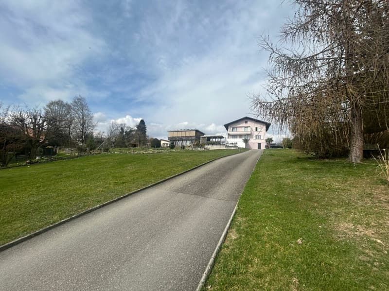 Luxuriöses Einfamilienhaus an begehrter Aare-Lage (4)