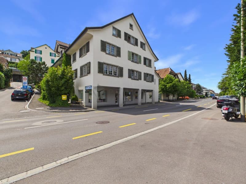 Stilvolle 6.5 Zimmer Wohnung mit Charakter am Zürichsee (1)