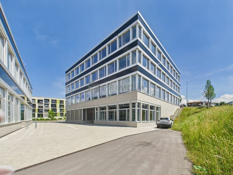 Viel Platz für deine Visionen: Neuwertiger Allrounder-Raum im Herzen von Buchrain (1)
