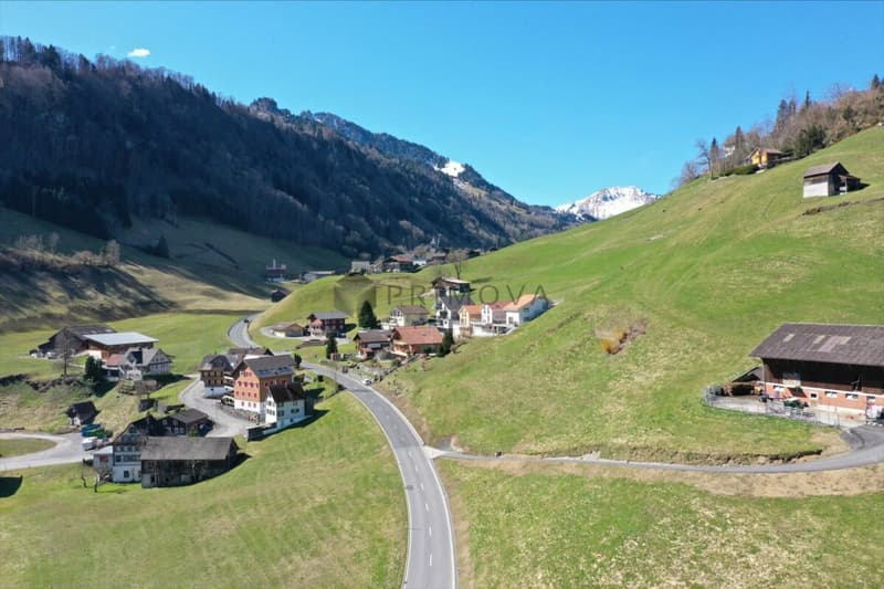 Erstbezug mit traumhafter Bergkulisse (16)