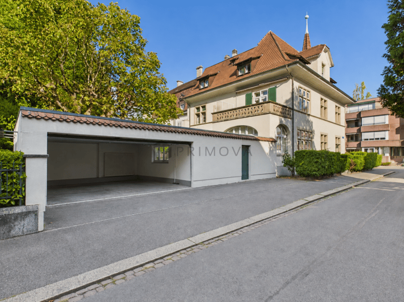 Ein Stück Basler Zeitgeschichte: Unvergleichliches Stadtpalais mit Pool & Sauna (1)