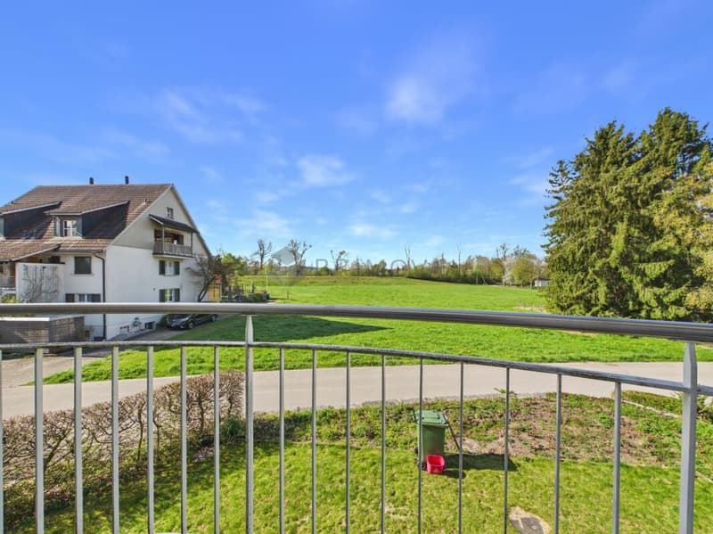 Charmantes Einfamilienhaus mit zusätzlicher Landwirtschaftsfläche - ideal für Pferdeliebhaber (1)