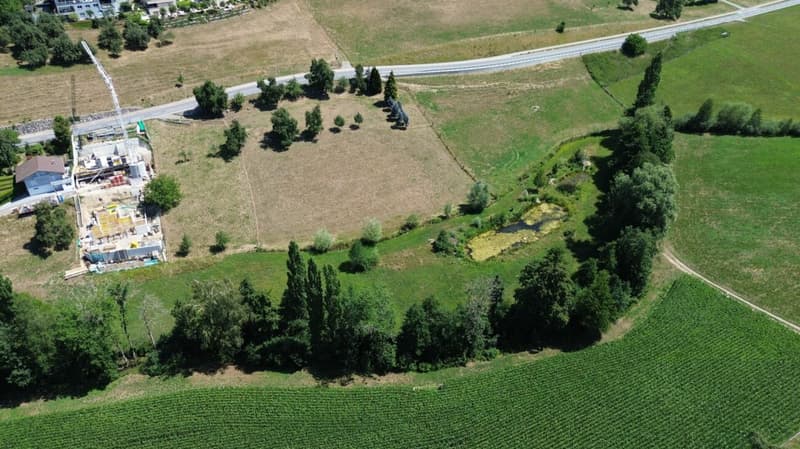 Neubau: Moderne Gartenwohnung eingebettet in malerische Landschaft, wo die Welt noch in Ordnung ist: ! (1)
