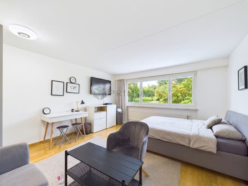 Clever investieren oder selbst einziehen - charmante 2.5 Zimmer Wohnung (2)