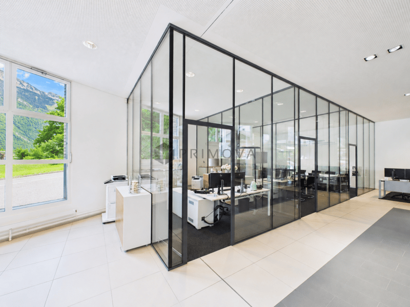 Repräsentatives Gewerbeareal mit Bauland & 5.5-Zimmer-Attikawohnung (8)